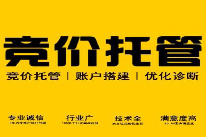 SEM代运营经典案例解析与启示